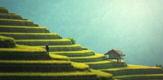 Jak Witają się w Azji?