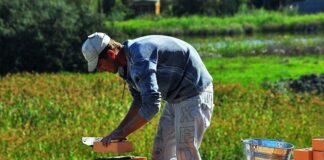 Czy masoni wierzą w Boga?
