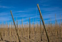 Kto ma 1 miejsce w rankingu FIFA? Kto ma 1 miejsce w rankingu FIFA?