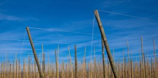 Kto ma 1 miejsce w rankingu FIFA?