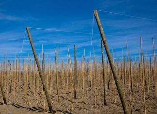 Kto ma 1 miejsce w rankingu FIFA? Kto ma 1 miejsce w rankingu FIFA?