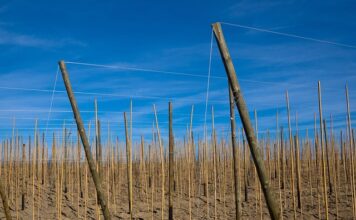 Kto ma 1 miejsce w rankingu FIFA?