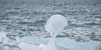 Jak mężczyzna reaguje na kobietę która mu się podoba?