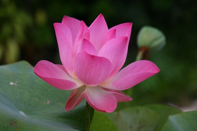 Co to znaczy po angielsku wyd? Co to znaczy po angielsku wyd?