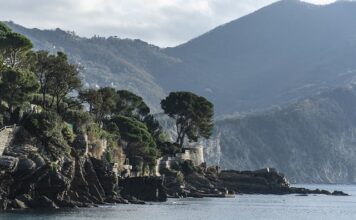 Ile kosztuje 1l paliwa w USA?