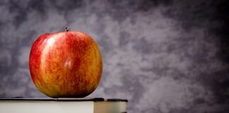 Ile jest klas w szkole w USA?