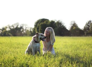 Gdzie najlepiej traktują Polaków?