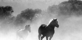 Czy w Dreamlinerze można palić?