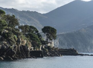 Ile kosztuje godzina lotu FA-50?