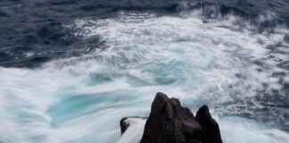 Ile lat ma średnio Polak?