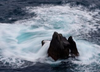 Ile lat ma średnio Polak?