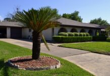 Jak mówią w Ameryce? Jak mówią w Ameryce?