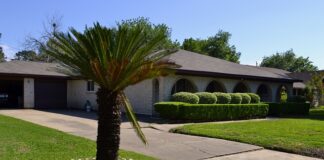 Jak mówią w Ameryce?